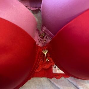 Juicy Couture Red and Pink Lace push up Bra